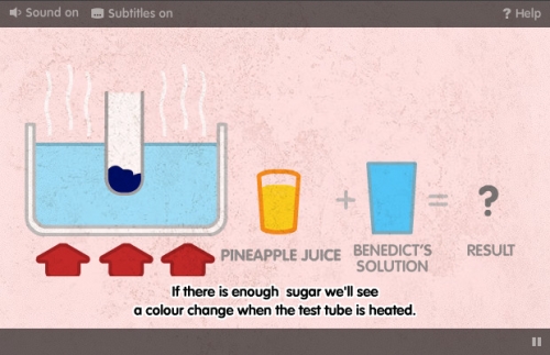 Bitesize KS3 Science Bite Sized Revision Games PRELOADED   Bitesize Science Ks3 Bbc 3794689195 O 500x323 