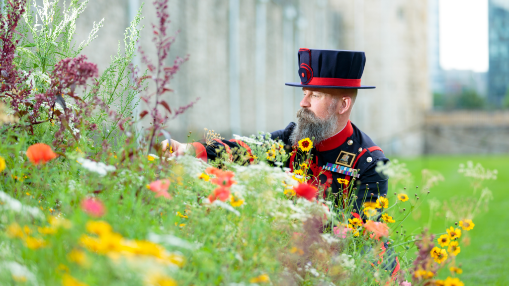 Yeoman Warder next to flowers